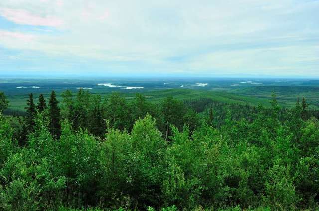 Vivid greens of forests and the many lakes of Alaska. Vivid greens of forests and the many lakes of Alaska.